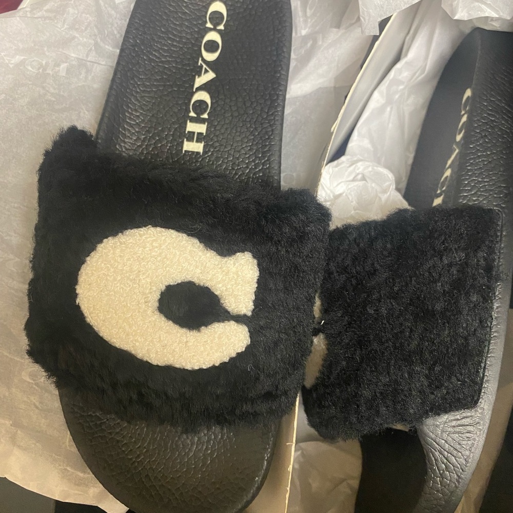 Coach Sherling slides NEVER WORN IN BOX!